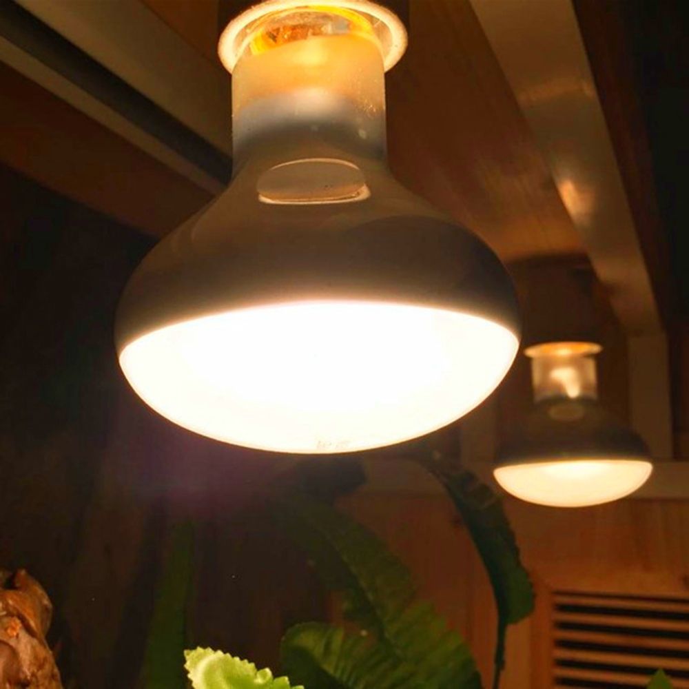 Amphibians Heater Heat Lamp UV - Basking Bulb Halogen 评论和价格