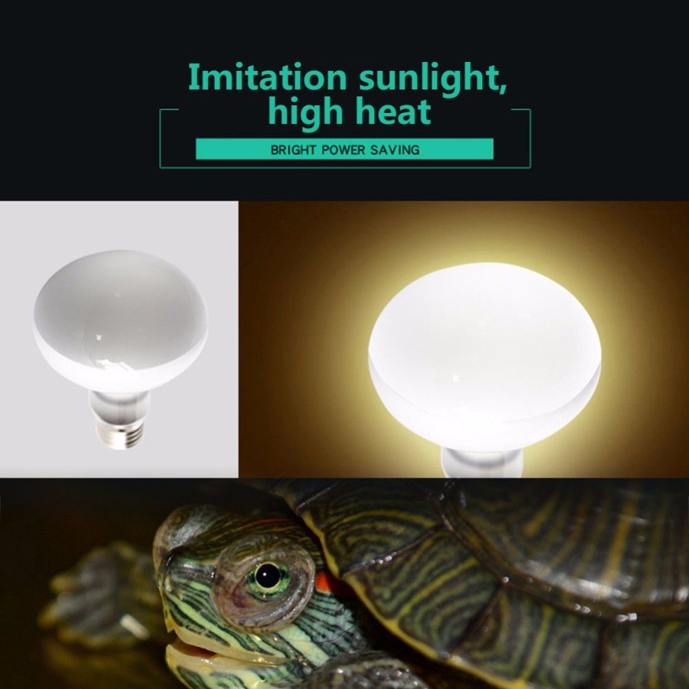 Amphibians Temperature Control - Basking Bulb Halogen 评论和价格