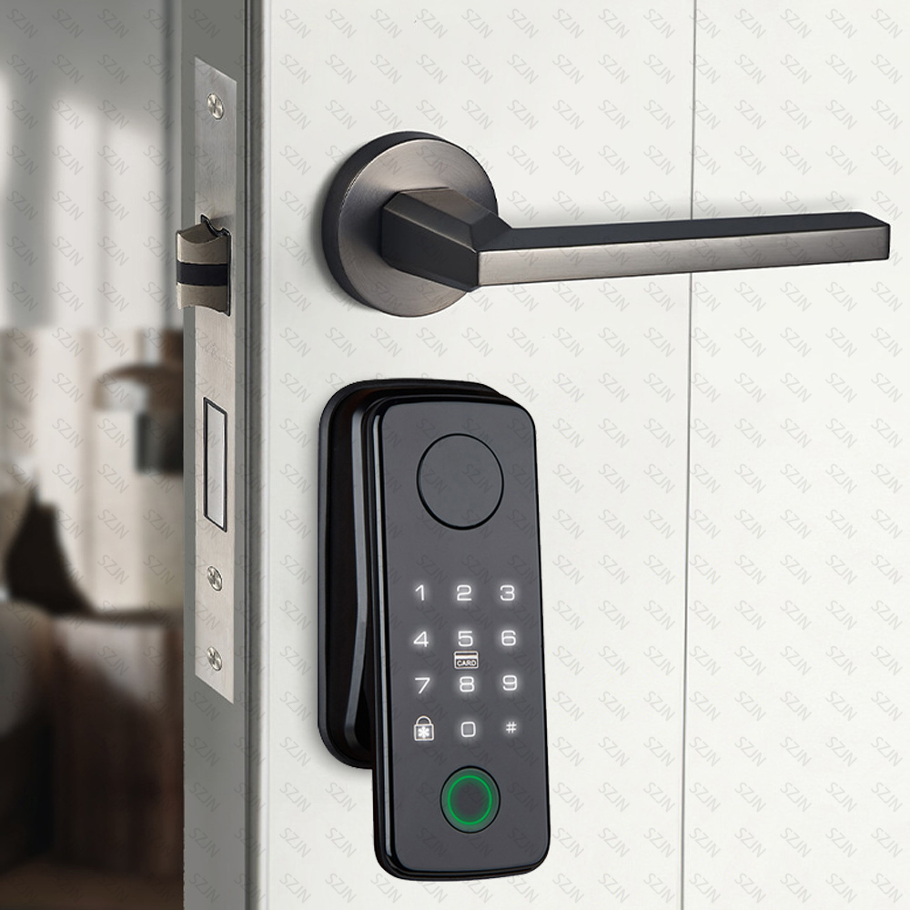 TTLock Auto Smart Fingerprint  - Glass Door Hinge 评论和价格