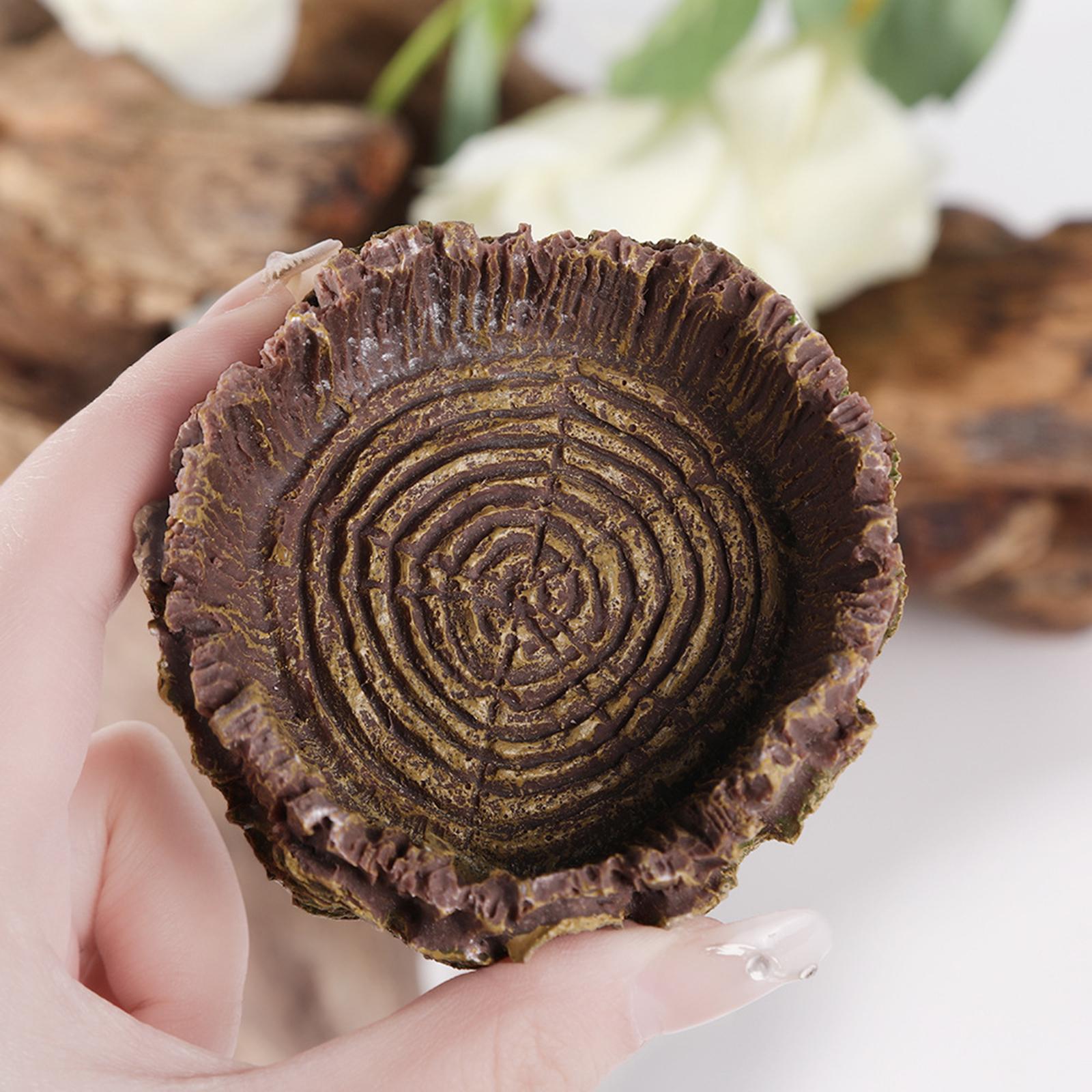 Reptile Bathing Dish Tortoise  - Water Dish Reptile 评论和价格