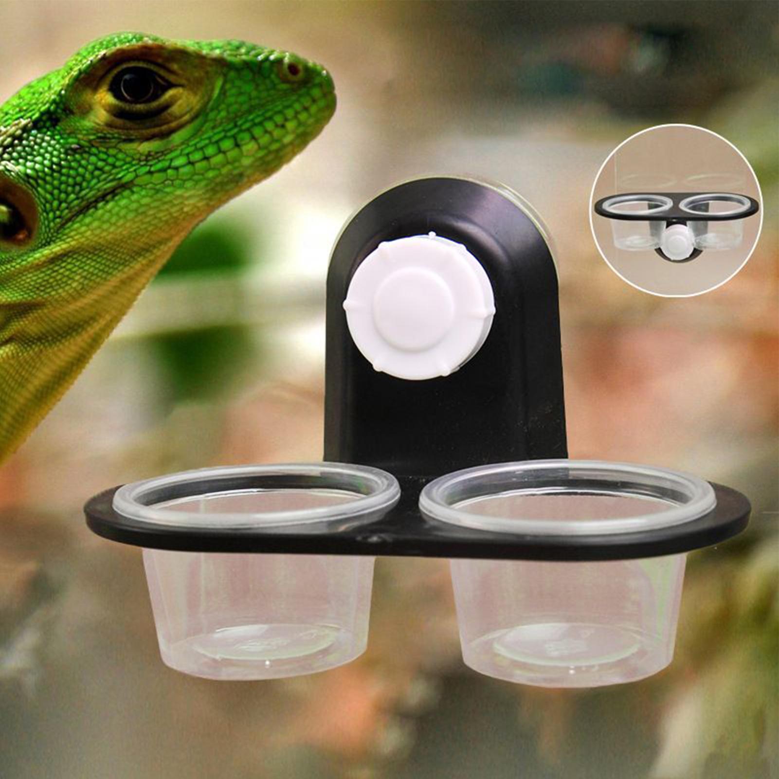 Gecko Food Dish Gecko Feeding  - Water Dish Reptile 评论和价格