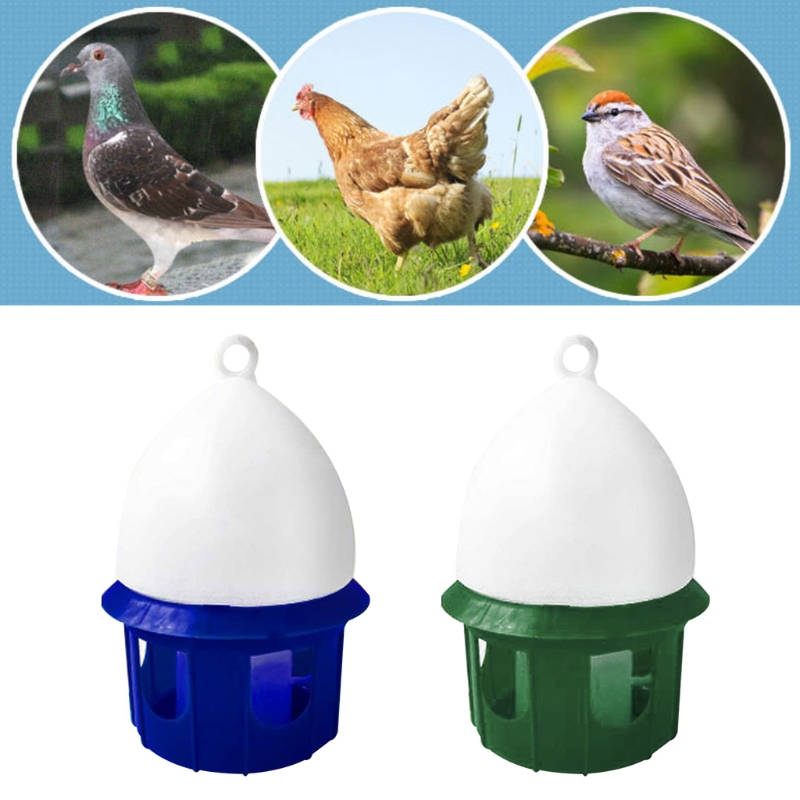 for Pigeon Water Dispenser Dur - Vitamin D3 Reptile 评论和价格