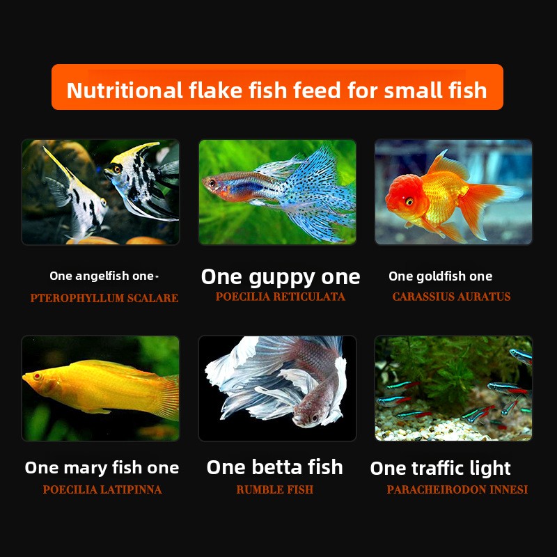 DaJiaWa Spirulina Flake Fish F - Tetra Food Goldfish Flakes 评论和价格