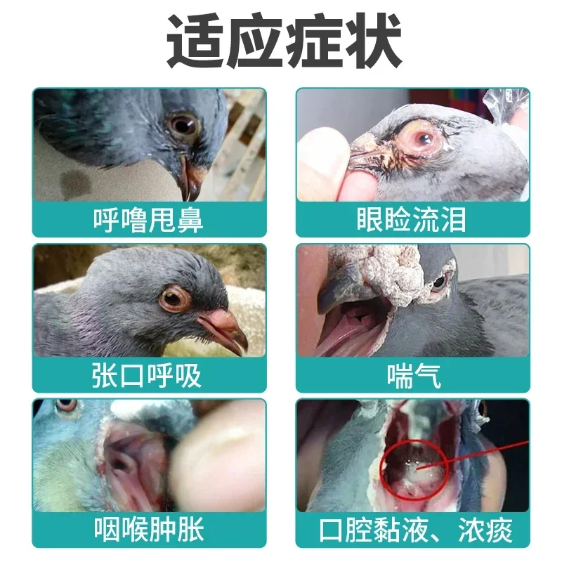 Parrots Meat Pigeons Chicken D - Vitamin D3 Reptile 评论和价格