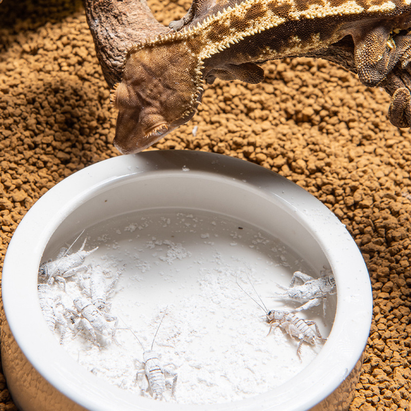 SuperRep Reptile Calcium Pro-V - Vitamin D3 Reptile 评论和价格