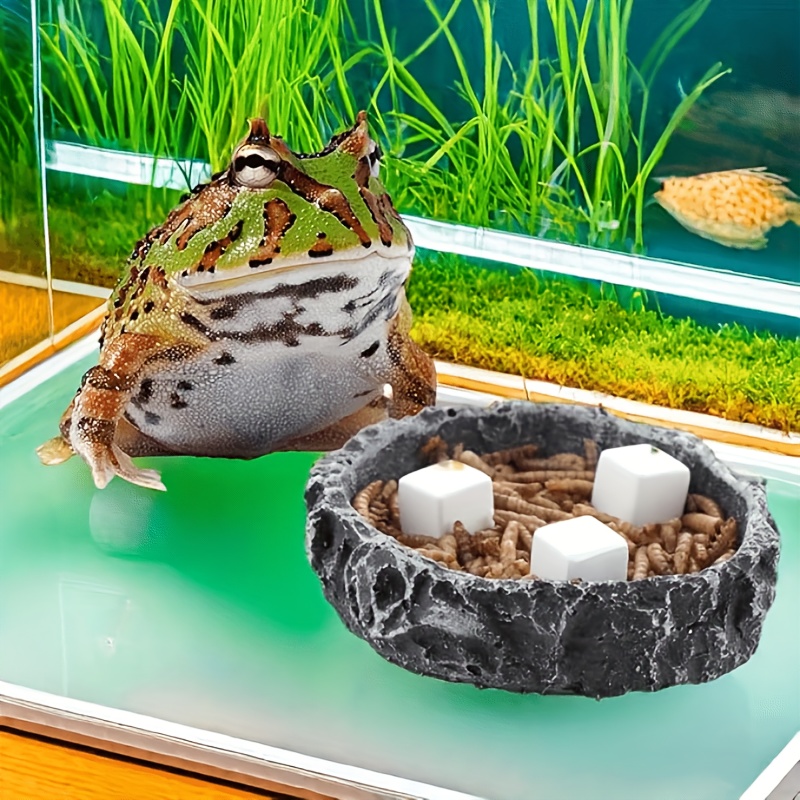 6 Pcs Fish Tank Calcium Block  - Calcium Powder Reptile 评论和价格